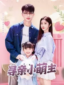 《寻亲小萌主》：萌娃寻亲路上的欢笑与泪水，真情动人