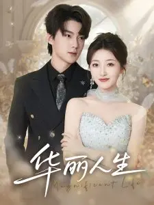 《华丽人生》：当命运交织，人生逆转，一场华丽的时空冒险之旅！