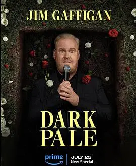 吉姆·加菲根：深灰，一场关于中年危机、育儿和生活真相的爆笑独白